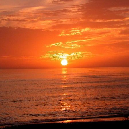 Canal 309 - Right In Siesta Key Village! 外观 照片