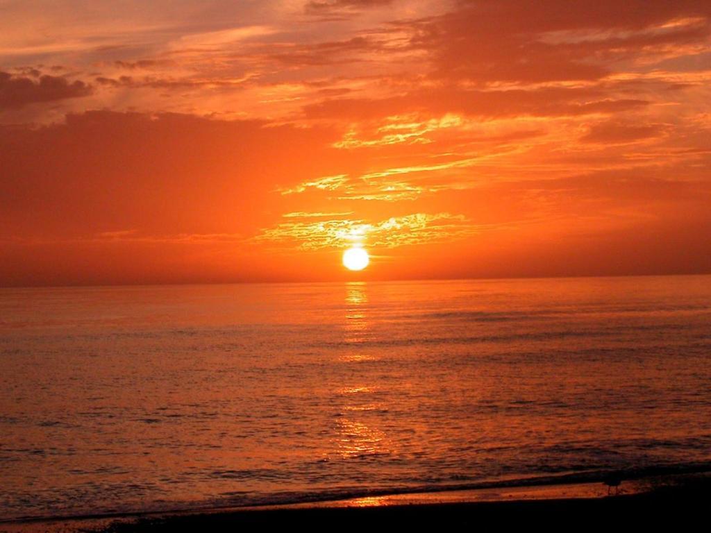 Canal 309 - Right In Siesta Key Village! 外观 照片
